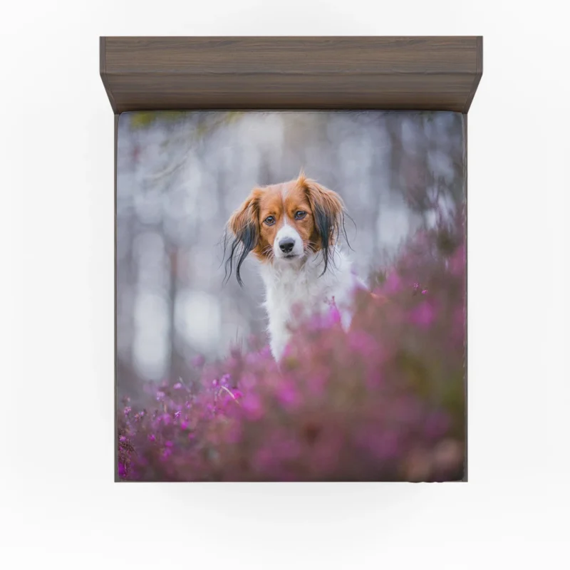 Ethereal Quartet: Kooikerhondje Flowers in Depth Fitted Sheet