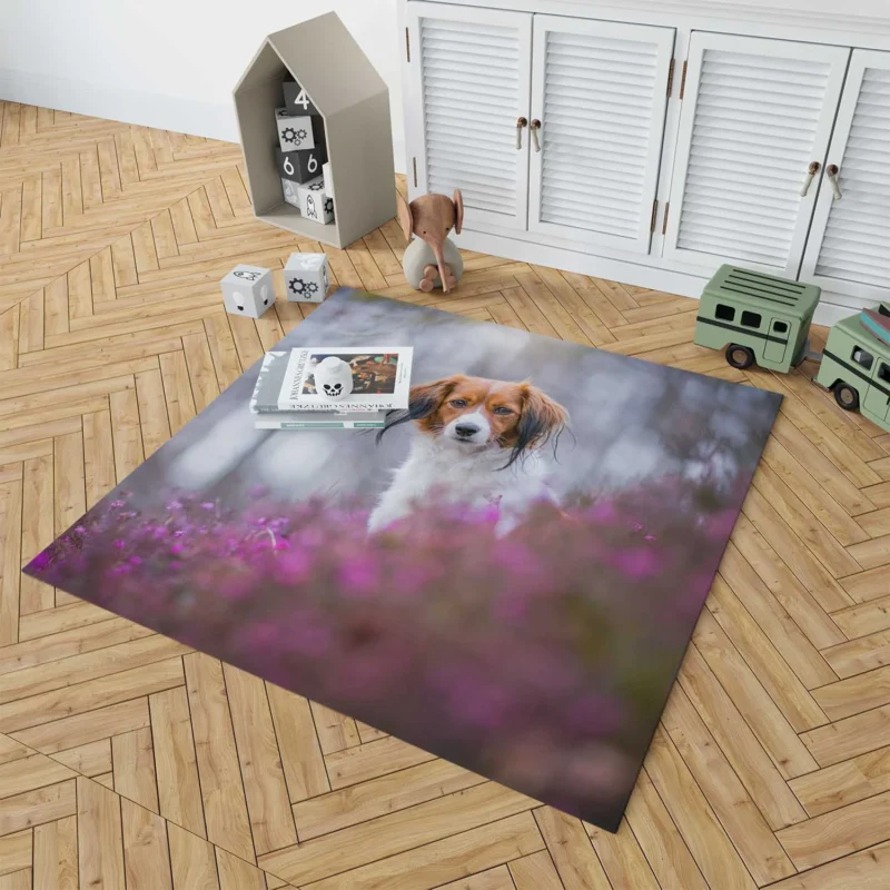 Ethereal Quartet: Kooikerhondje Flowers in Depth Floor Rug 1