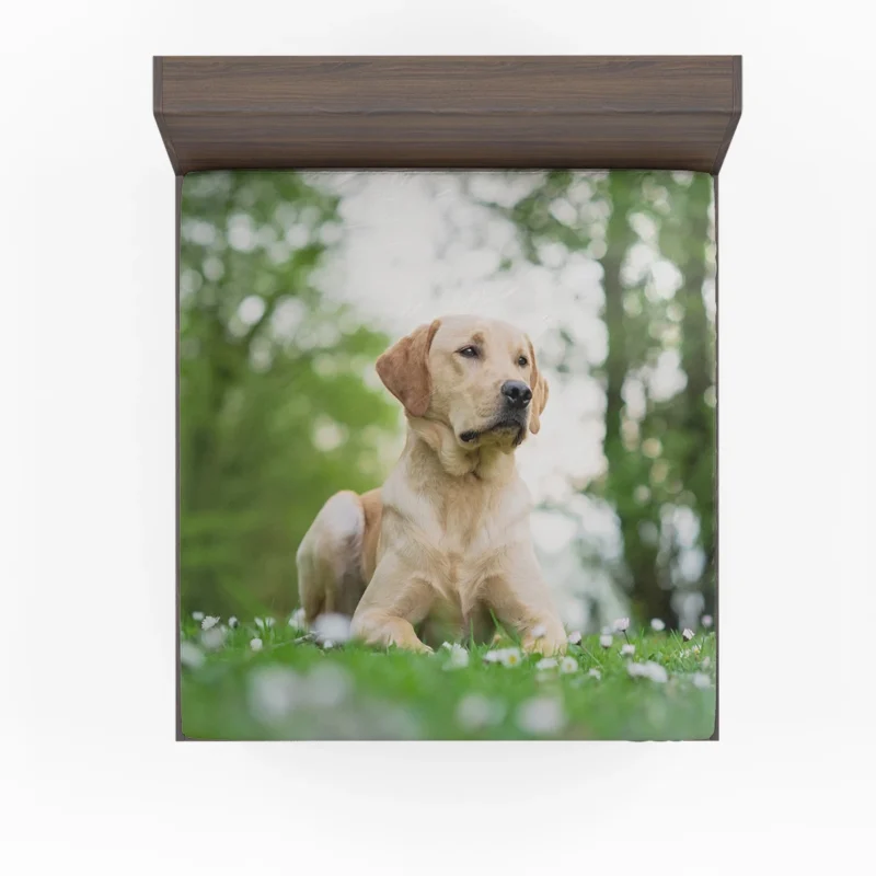 Ethereal-Quartet-Labrador-Bokeh-with-Depth-Fitted-Sheet-1