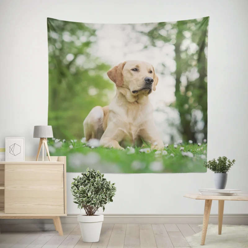 Ethereal Quartet  Labrador Bokeh with Depth Wall Tapestry