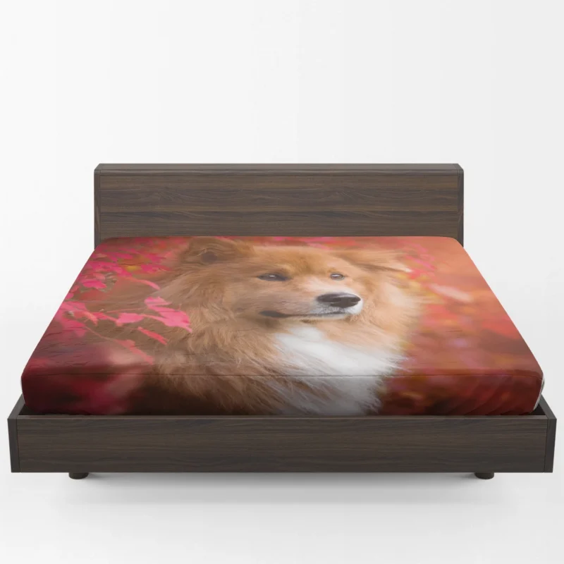 Eurasier Autumn Delight: Muzzle in Falling Leaves Fitted Sheet 1