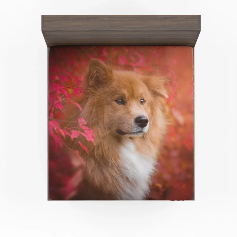 Eurasier Autumn Delight: Muzzle in Falling Leaves Fitted Sheet