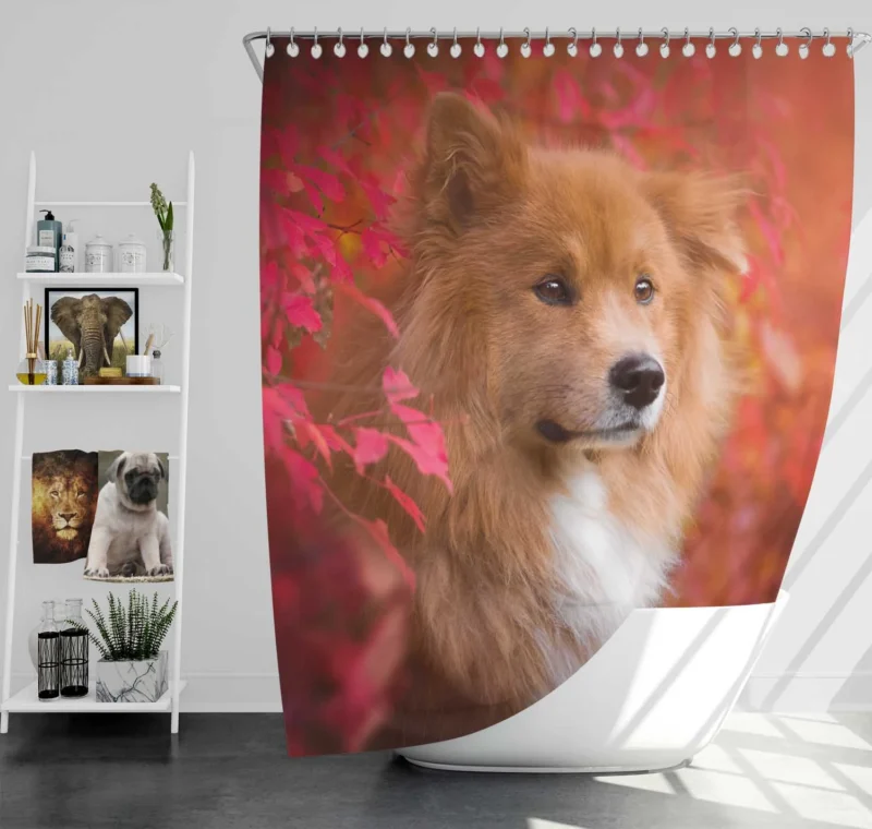 Eurasier Autumn Delight: Muzzle in Falling Leaves Shower Curtain