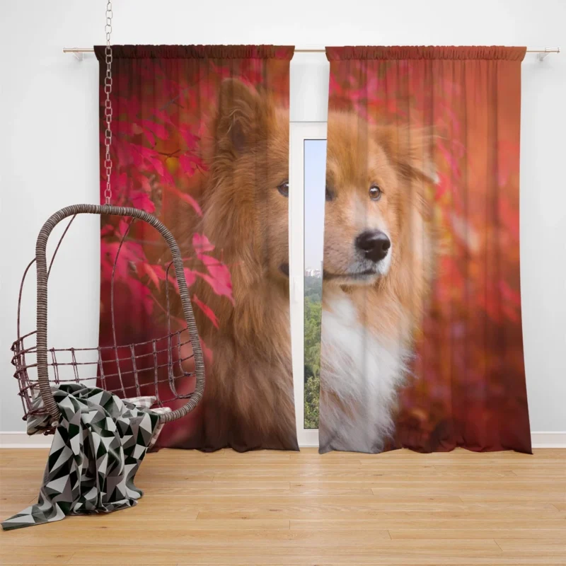 Eurasier Autumn Delight: Muzzle in Falling Leaves Window Curtain