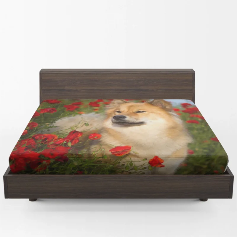 Eurasier Poppy: Vibrant Summer Blossom Fitted Sheet 1