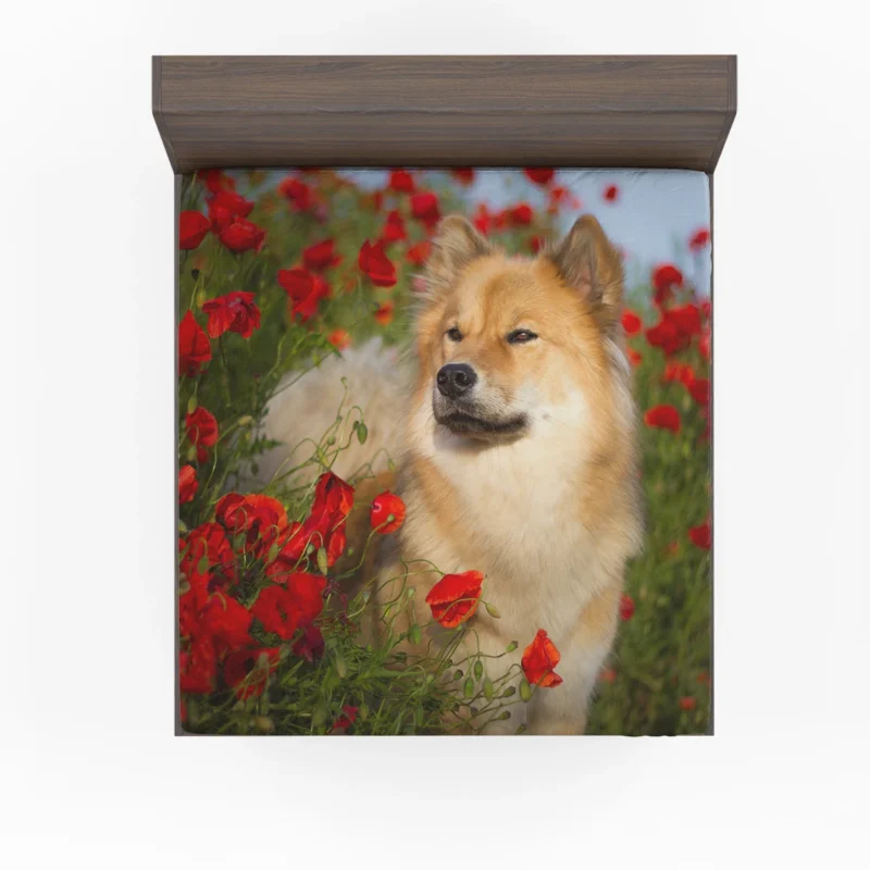 Eurasier Poppy: Vibrant Summer Blossom Fitted Sheet