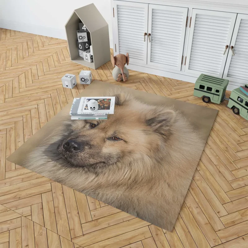 Eurasier Serenity: Muzzle Spotlight Floor Rug 1