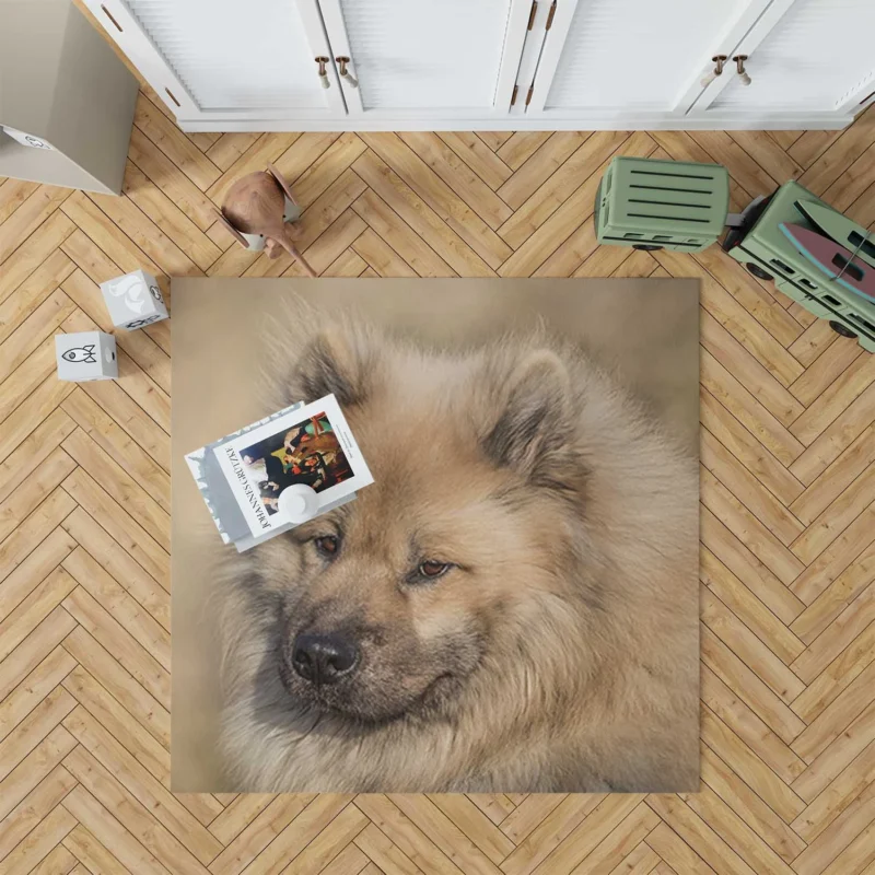 Eurasier Serenity: Muzzle Spotlight Floor Rug