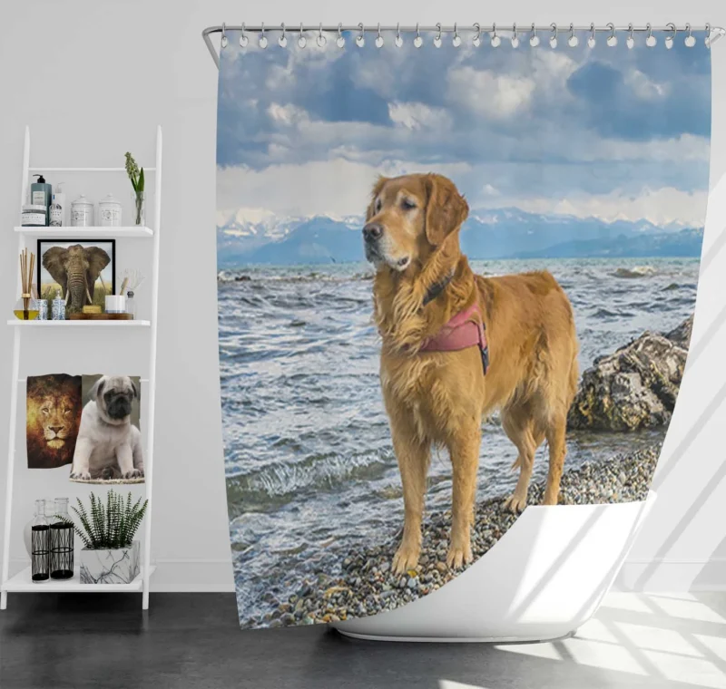 European Bliss: Golden Retrievers at Lake Constance Shower Curtain