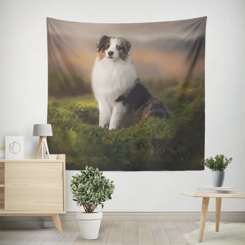 Exploring Depth Of Field Beauty  Australian Shepherd Wall Tapestry