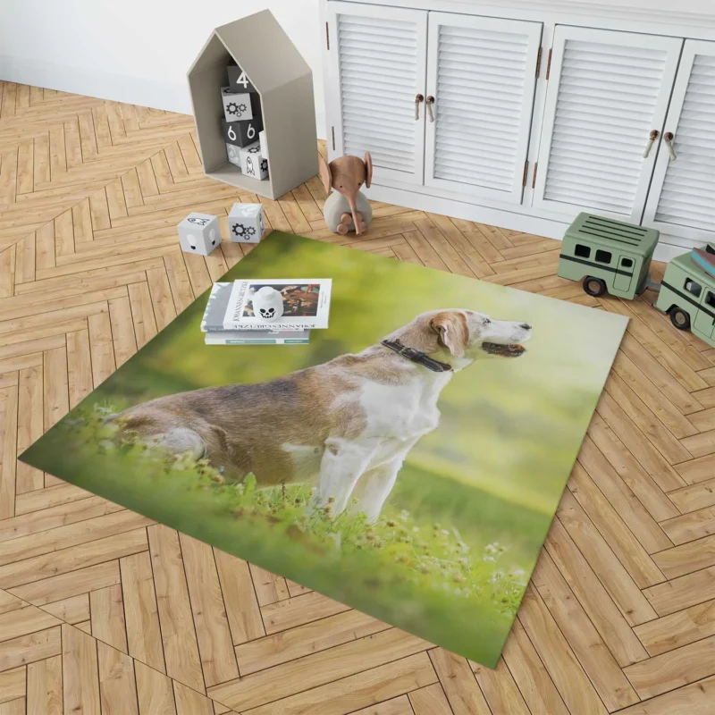 Exploring Depth Of Field Beauty: Beagle Floor Rug 1