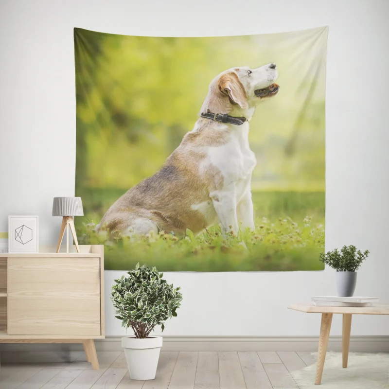 Exploring Depth Of Field Beauty  Beagle Wall Tapestry