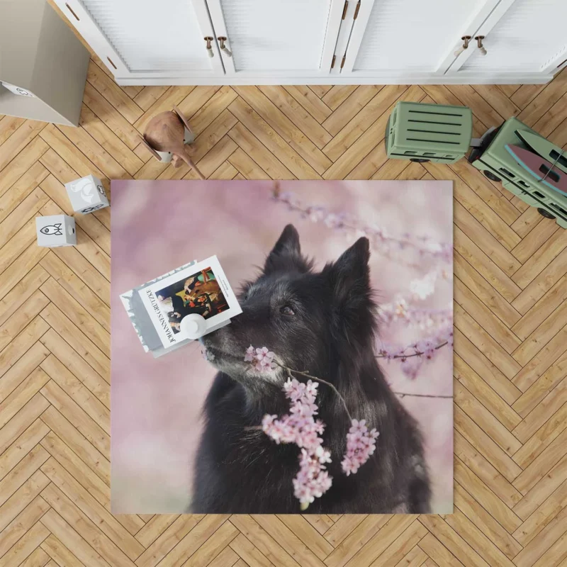 Exploring Depth Of Field: Belgian Shepherd Floor Rug