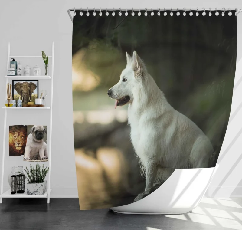 Exploring Depth Of Field: Berger Blanc Suisse Shower Curtain