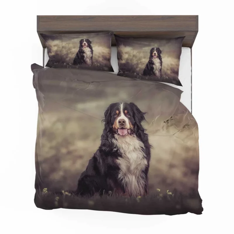 Exploring Depth Of Field with Bernese Mountain Dog Bedding Set 1