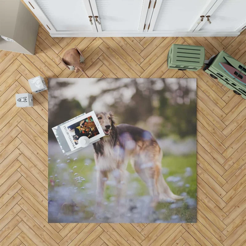 Exploring Depth Of Field with the Borzoi: Borzoi Floor Rug