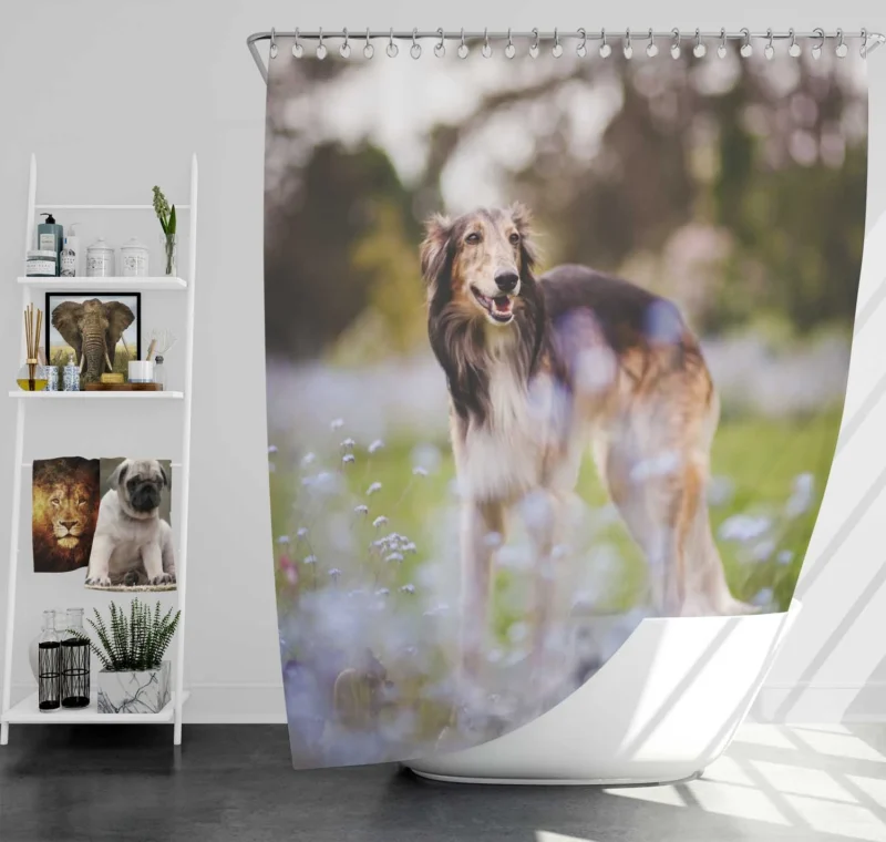 Exploring Depth Of Field with the Borzoi: Borzoi Shower Curtain