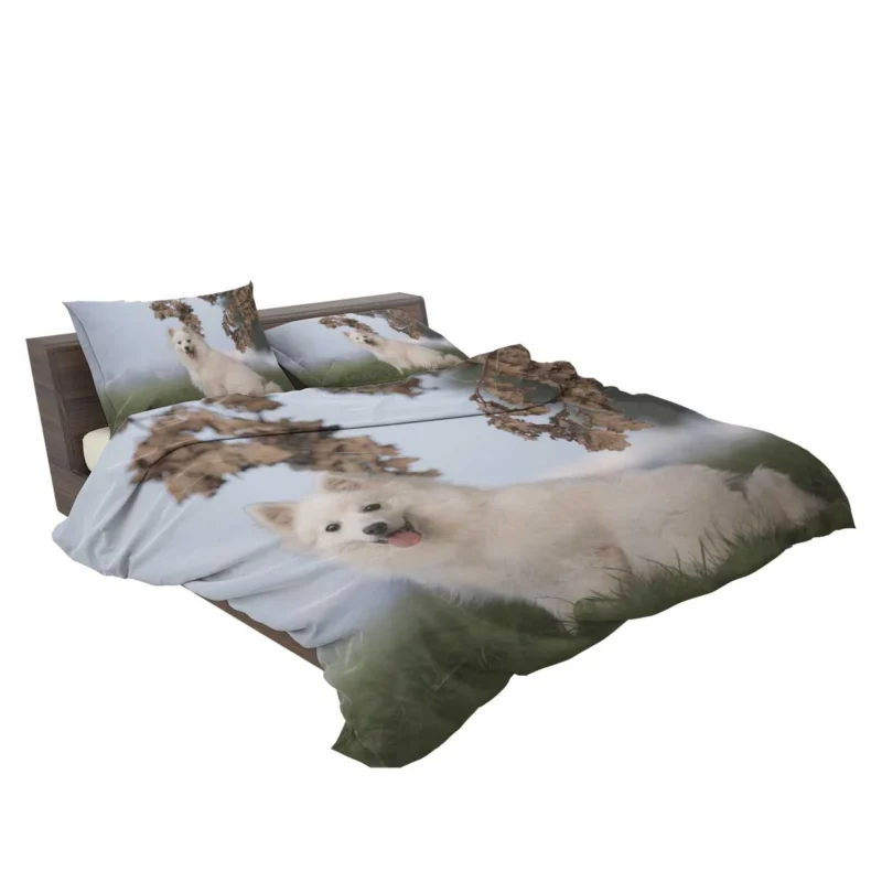 Exuding Elegance: Spitz Quartet Bedding Set 2