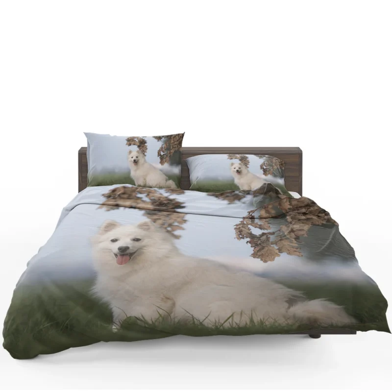 Exuding Elegance: Spitz Quartet Bedding Set