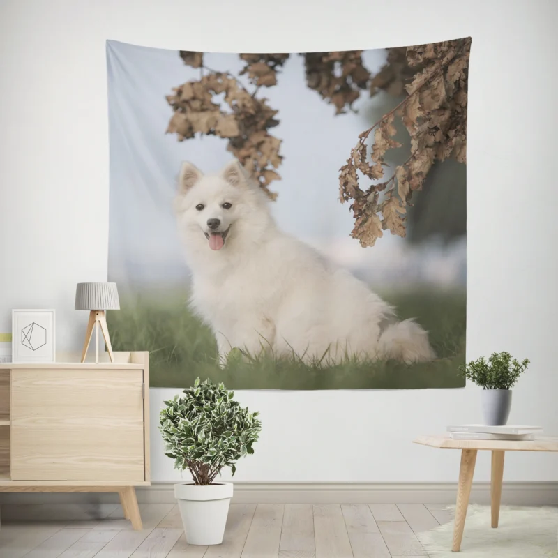 Exuding Elegance  Spitz Quartet Wall Tapestry