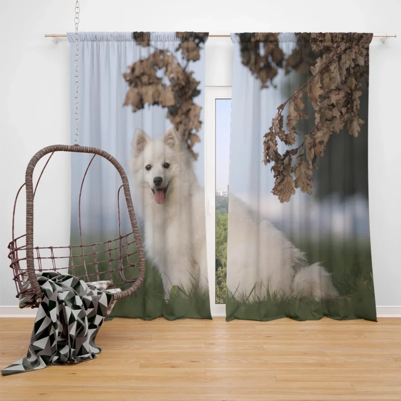 Exuding Elegance: Spitz Quartet Window Curtain