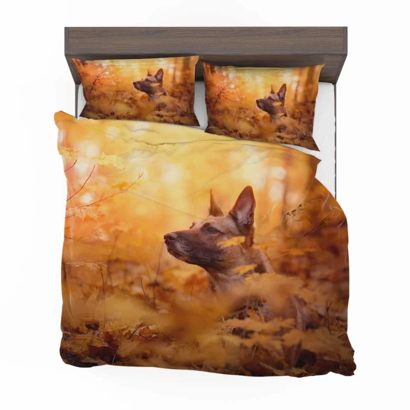 Fall Beauty in the Malinois: Belgian Malinois Bedding Set 1