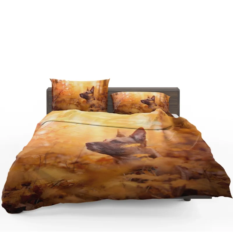 Fall Beauty in the Malinois: Belgian Malinois Bedding Set