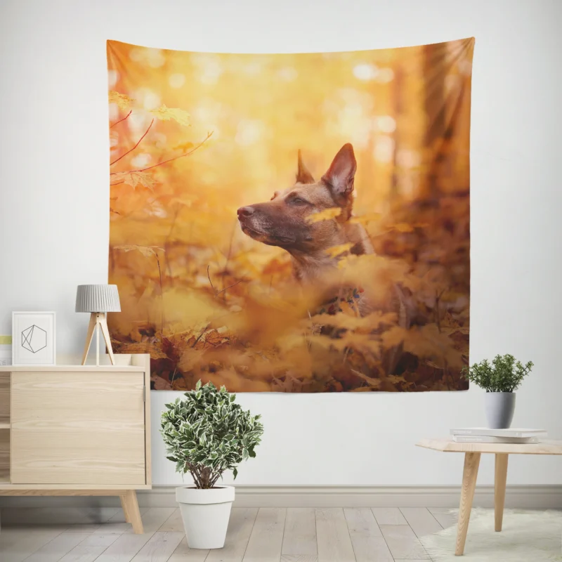 Fall Beauty in the Malinois  Belgian Malinois Wall Tapestry