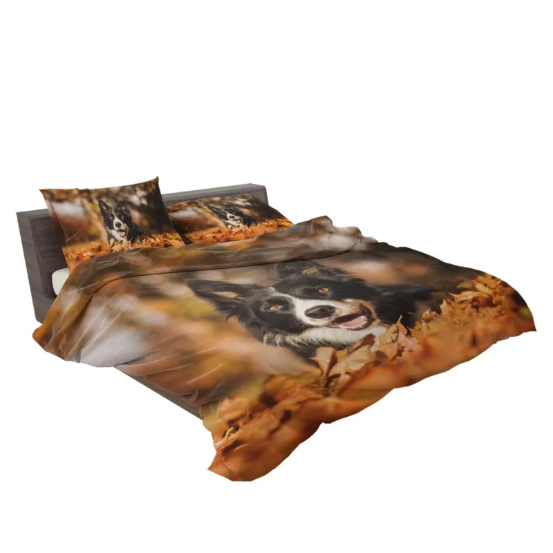 Fall Beauty with Bokeh Leaves and Depth Of Field: Border Collie Bedding Set 2