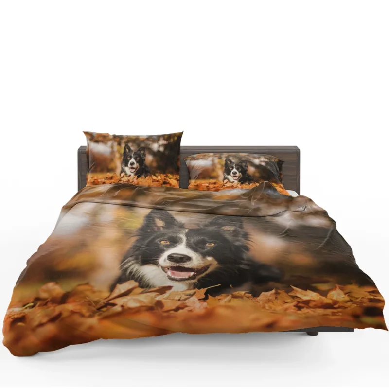 Fall Beauty with Bokeh Leaves and Depth Of Field: Border Collie Bedding Set