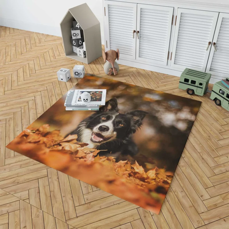 Fall Beauty with Bokeh Leaves and Depth Of Field: Border Collie Floor Rug 1