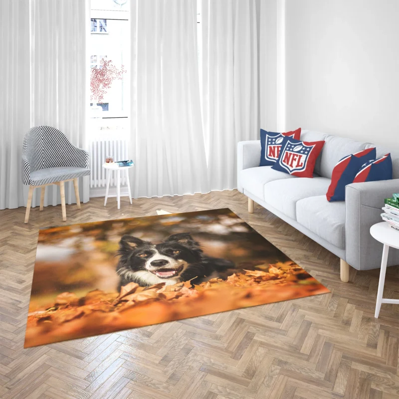 Fall Beauty with Bokeh Leaves and Depth Of Field: Border Collie Floor Rug 2