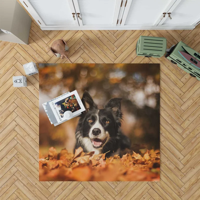 Fall Beauty with Bokeh Leaves and Depth Of Field: Border Collie Floor Rug