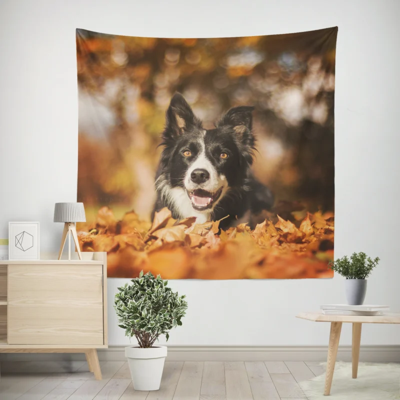 Fall Beauty with Bokeh Leaves and Depth Of Field  Border Collie Wall Tapestry