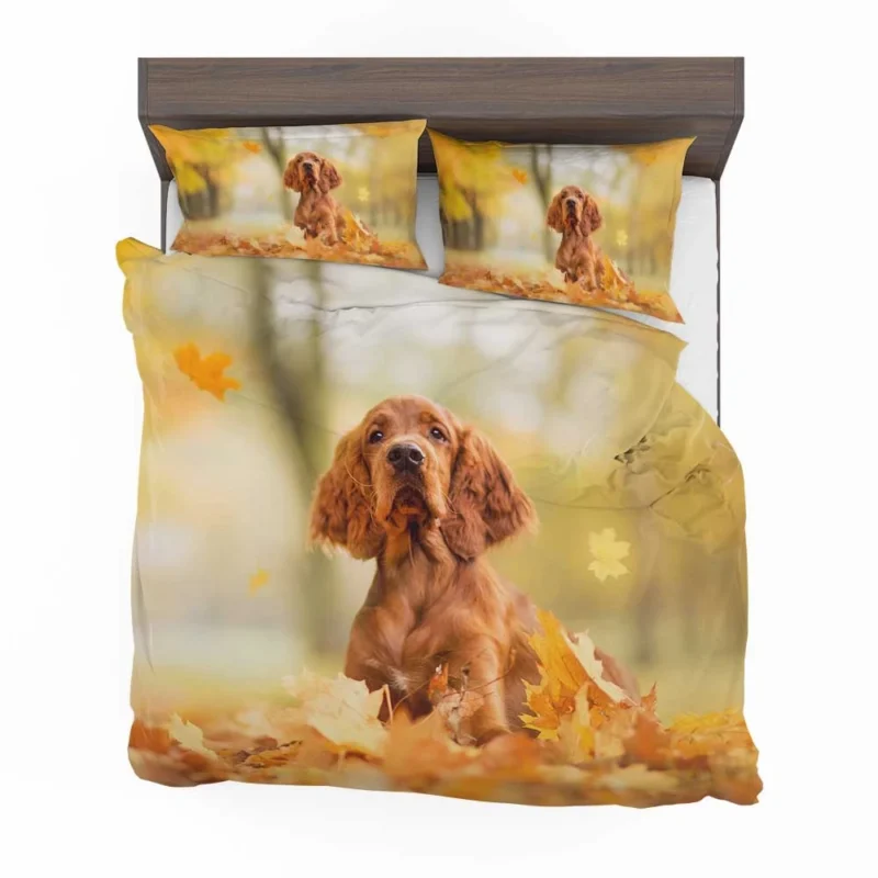 Fall Colorful Embrace: Cocker Spaniel Quartet Bedding Set 1