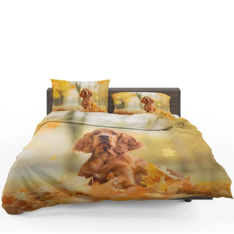 Fall Colorful Embrace: Cocker Spaniel Quartet Bedding Set