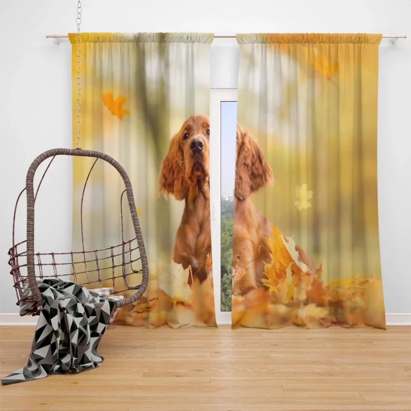 Fall Colorful Embrace: Cocker Spaniel Quartet Window Curtain