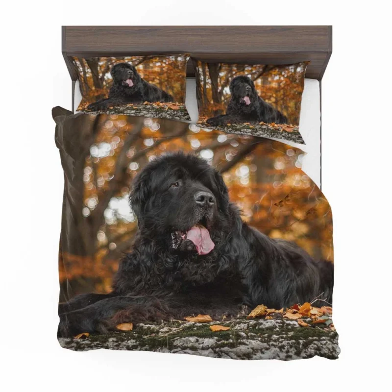 Fall Depth: Newfoundland Quartet in Field Bedding Set 1