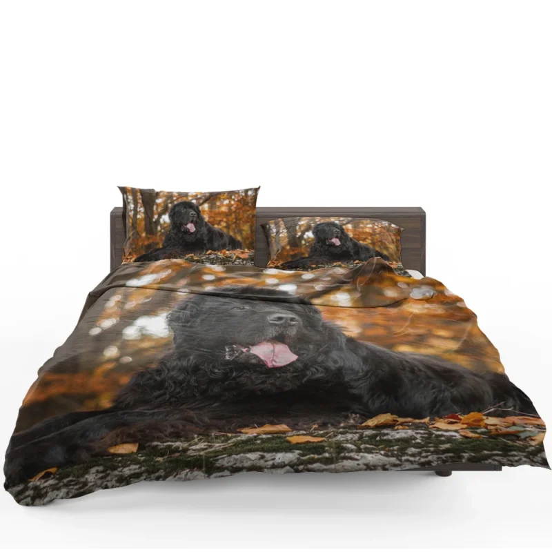 Fall Depth: Newfoundland Quartet in Field Bedding Set