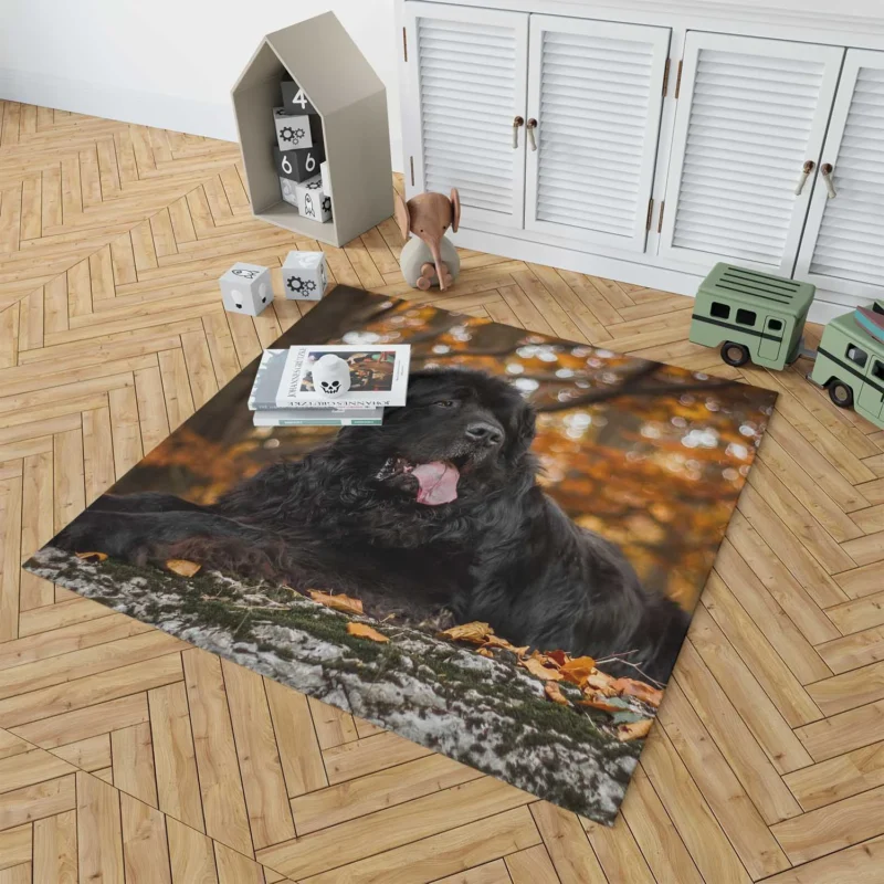 Fall Depth: Newfoundland Quartet in Field Floor Rug 1