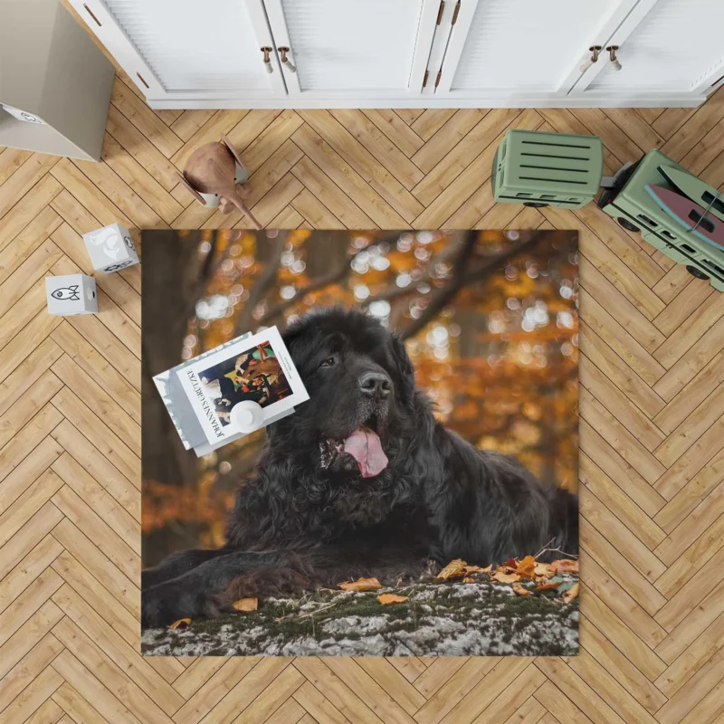 Fall Depth: Newfoundland Quartet in Field Floor Rug