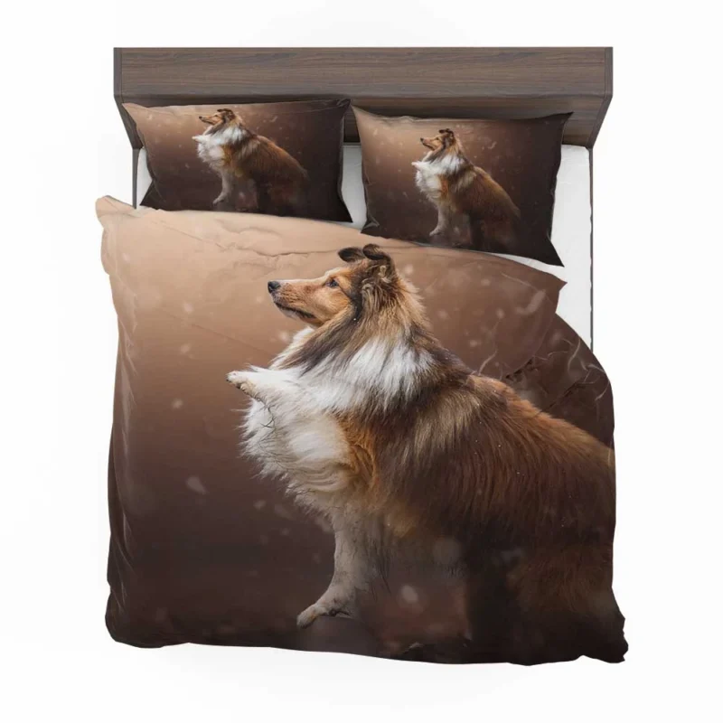 Fall Foliage Charm: Shetland Sheepdog Quartet Bedding Set 1