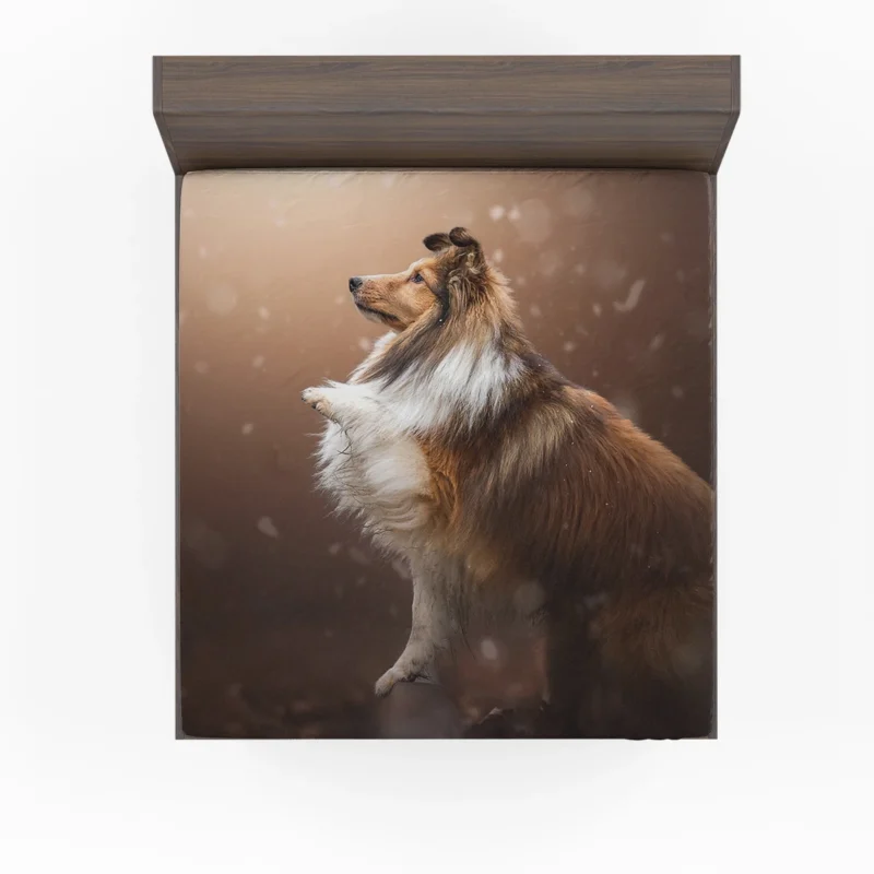 Fall Foliage Charm: Shetland Sheepdog Quartet Fitted Sheet