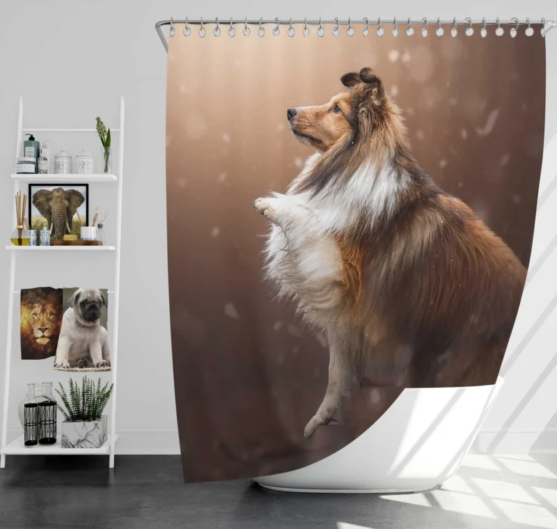 Fall Foliage Charm: Shetland Sheepdog Quartet Shower Curtain