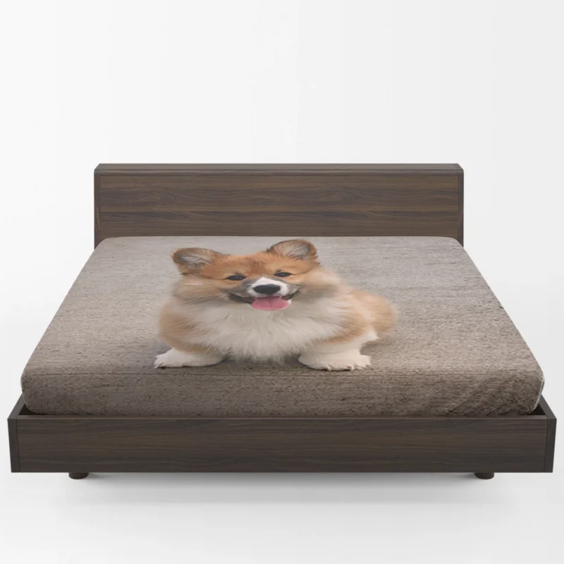 Fall Frolic: Corgi Pups in Quartet Fitted Sheet 1