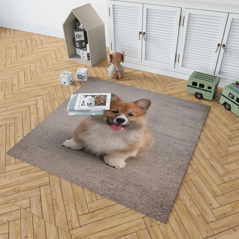 Fall Frolic: Corgi Pups in Quartet Floor Rug 1