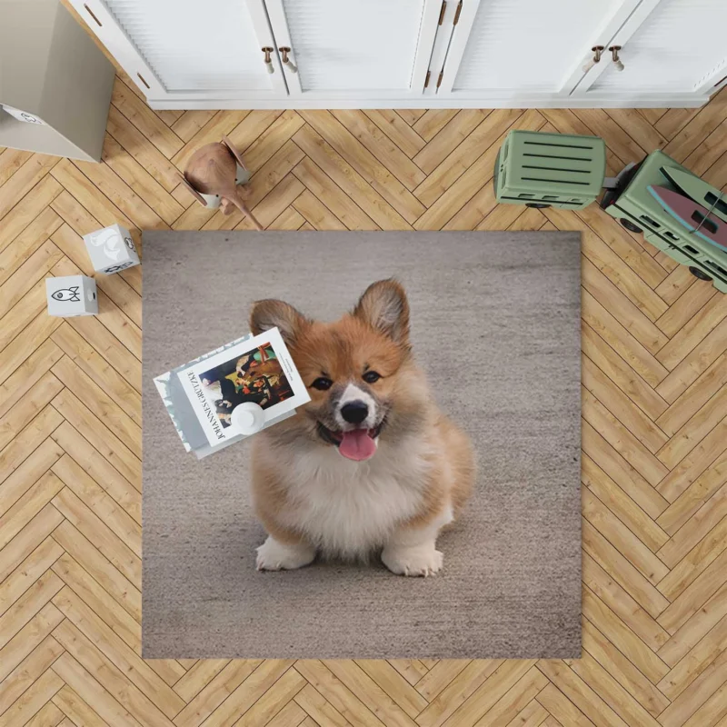 Fall Frolic: Corgi Pups in Quartet Floor Rug