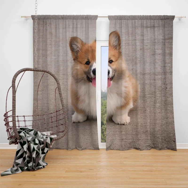 Fall Frolic: Corgi Pups in Quartet Window Curtain