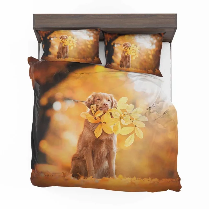 Fall Leaf Quartet: Newfoundland in Autumn Bedding Set 1