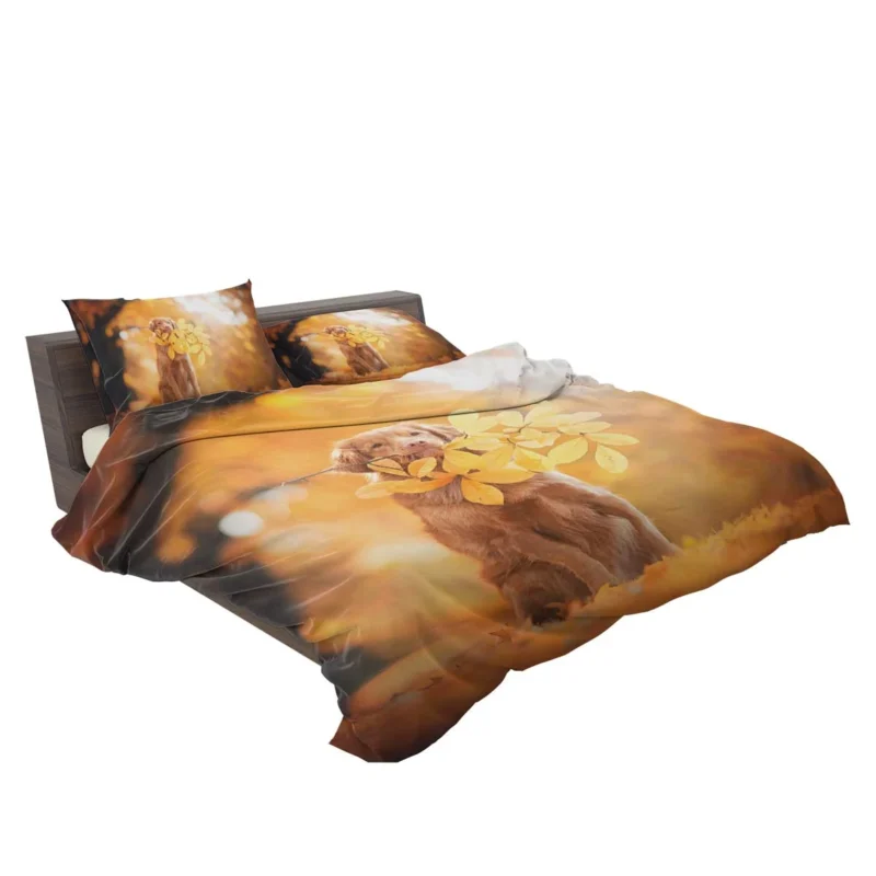 Fall Leaf Quartet: Newfoundland in Autumn Bedding Set 2